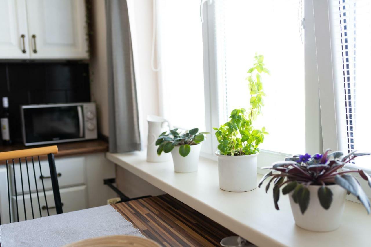 Old Town Vintage Apartment Sturova كَشّا المظهر الخارجي الصورة