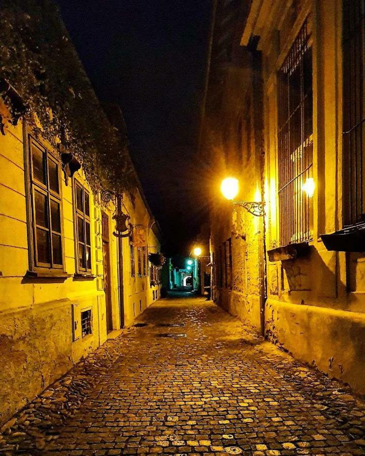 Old Town Vintage Apartment Sturova كَشّا المظهر الخارجي الصورة